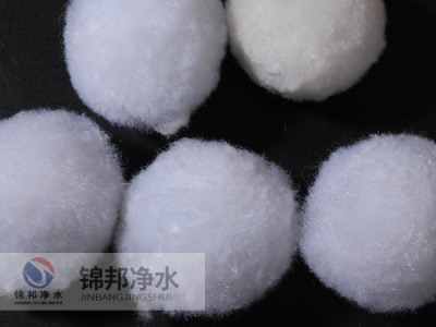 开云体育下载最新版：生物质能发电行业